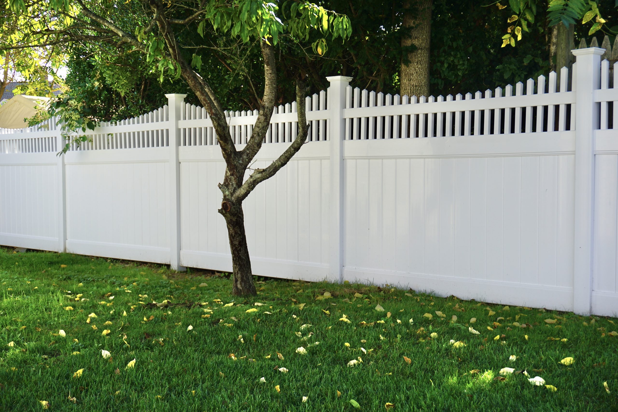 Better Fence Materials