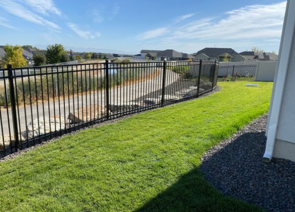Wrought Iron Fence for dogs