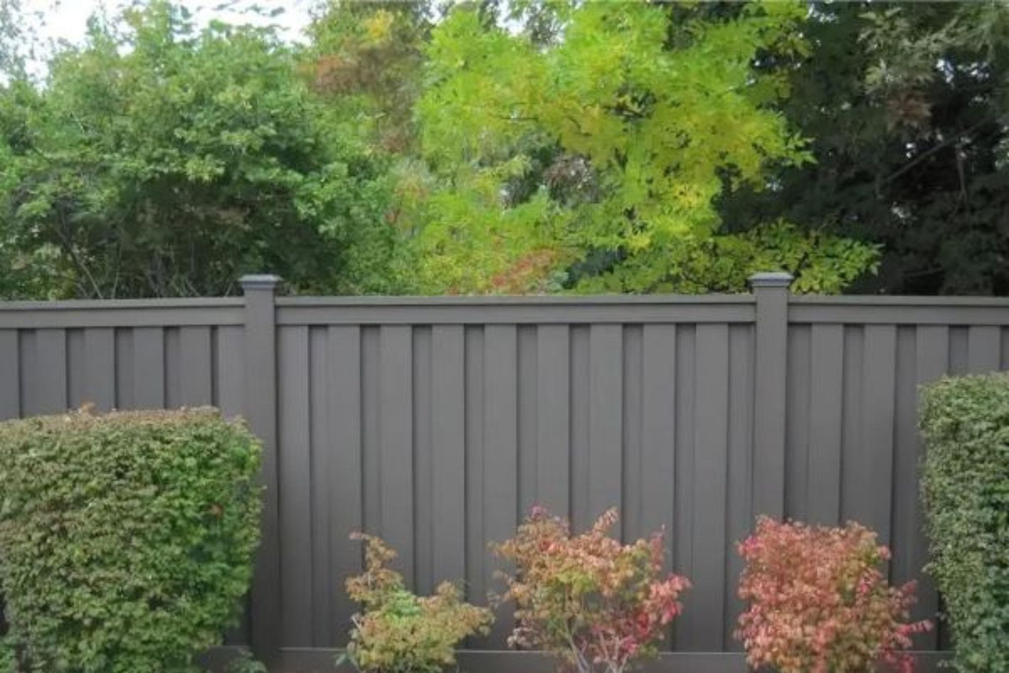 Certified Wood Fence